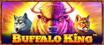 Buffalo King